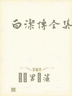 白洁传全集