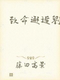 致命邂逅刘小寐