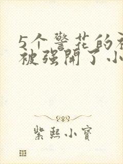 5个警花的初苞被强开了小说
