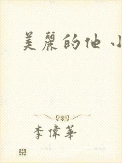 美丽的他 小说