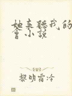 她来听我的演唱会小说