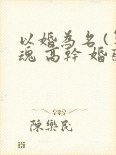 以婚为名 (军魂 高干 婚恋)