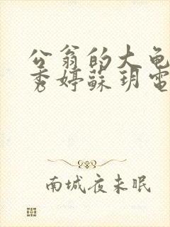 公翁的大龟挺进秀婷苏玥电影