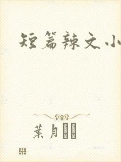 短篇辣文小说