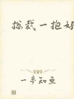 总裁一抱好欢喜