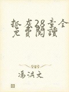 抓灰28章全部免费阅读