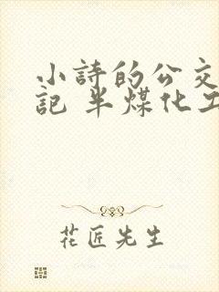 小诗的公交车日记 半煤化工