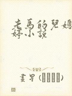 老马的儿媳顾婉婷小说