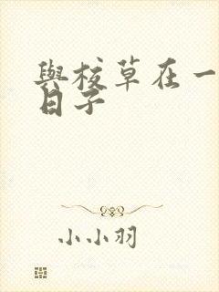 与校草在一起的日子