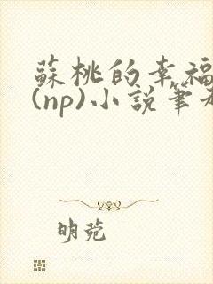 苏桃的幸福生活(np)小说笔趣阁沐沐