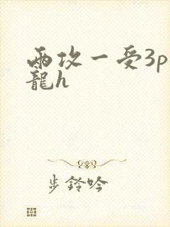 两攻一受3p双龙h