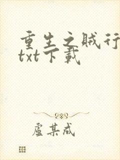 重生之贼行天下txt下载