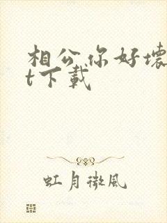 相公你好坏txt下载