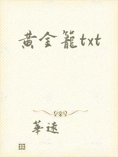 黄金笼txt