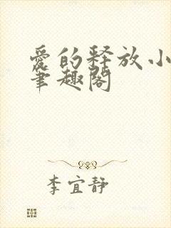 爱的释放小说 笔趣阁