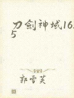 刀剑神域16.5