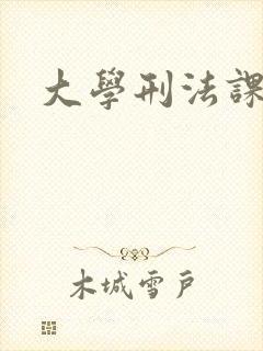 大学刑法课