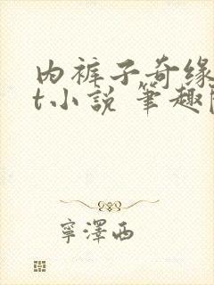 内裤子奇缘txt小说 笔趣阁