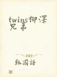 twins柳泽兄弟