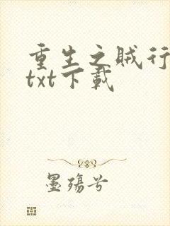 重生之贼行天下txt下载