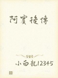 阿宾后传