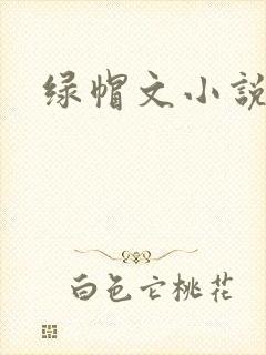 绿帽文小说