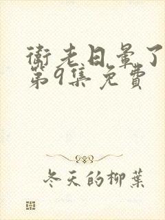 卫老日晕了淑蓉第9集免费