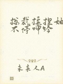 总裁揉捏她两乳不停呻吟