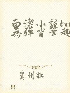 白洁小说txt无弹窗笔趣阁