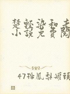 楚轻染和老周的小说免费阅读