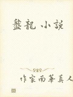 盘龙 小说