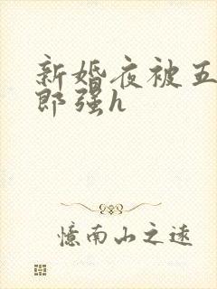 新婚夜被五个伴郎强h