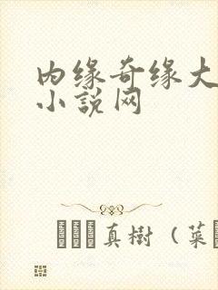 内缘奇缘大团圆小说网