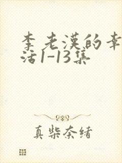 李老汉的幸福生活1-13集