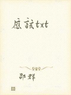 应该txt