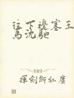 往下边塞玉器骑马沈驰