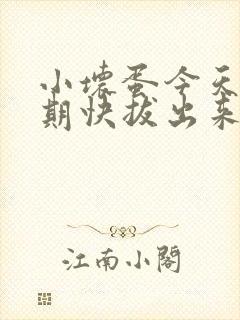 小坏蛋今天危险期快拔出来