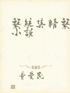 系统集精系统 小说