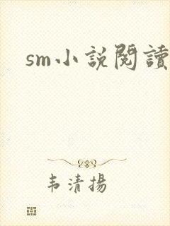 sm小说阅读