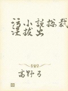 污小说总裁整夜没拔出