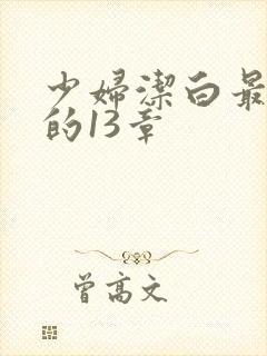 少妇洁白最刺激的13章