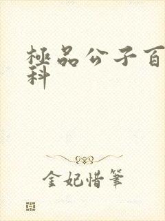 极品公子百度百科