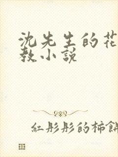 沈先生的花式管教小说