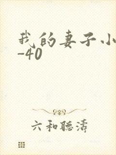 我的妻子小谨1-40