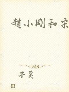 赵小刚和宋雨晴