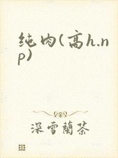 纯肉(高h.np)