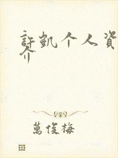 许凯个人资料简介