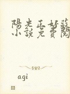 阳光正好苏玥玥小说免费阅读无弹窗