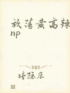 放荡黄高辣h文np