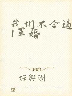 我们不合适1v1军婚